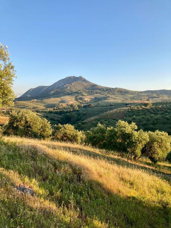 Apartamento Completo En Sierra Sur Villanueva de San Juan Экстерьер фото